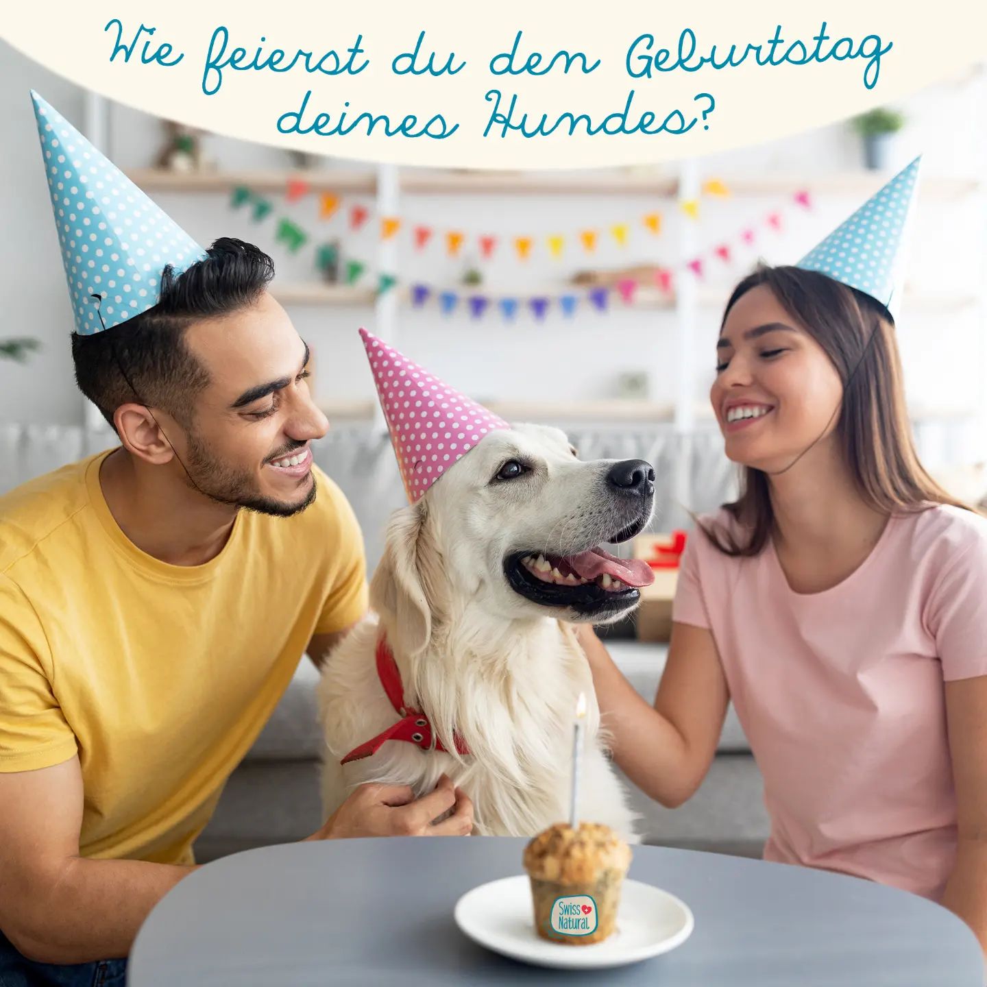 🎂Wie feierst du den Geburtstag deines Hundes?🎂

Selbstgebackener Kuchen? Hundefreunde einladen? Ein neues Halsband oder Spielzeug? Unsere Hunde sind zu unseren besten Freunden geworden, da ist es nicht unüblich, auch den Geburtstag unseres 4-Beiners zu feiern. 

Was haltet ihr davon?

In unserem Blogbeitrag haben wir leckere Rezepte für selbstgemachte Hundeguetzli - findet ihr alles auf unserer Webseite 😁

.
.
.
.
.

#swissnatural #swissnaturalbyallfarm #swissdogfood #swissmade #swiss #swissquality🇨🇭 #schweizerhundefutter #schweizerfleisch #schweizerherkunft #schweizerunternehmen #schweizerqualität #semimoist #softfutter #softeshundefutter #hundefutterausderschweiz #hundefutter #hundegeburtstag #hundegeburtstagskuchen #feiernmithund